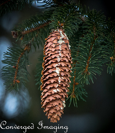 JAN_5106