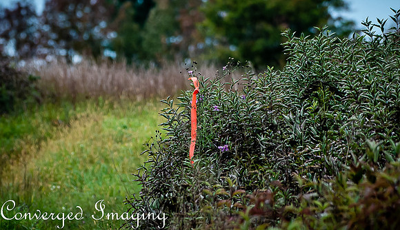 SEP_1561