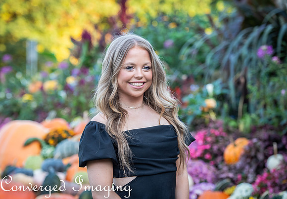 SEP_8088