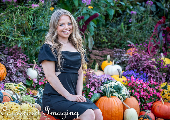 SEP_8093