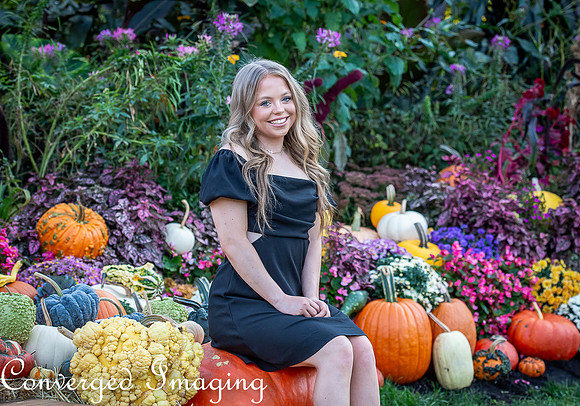 SEP_8096