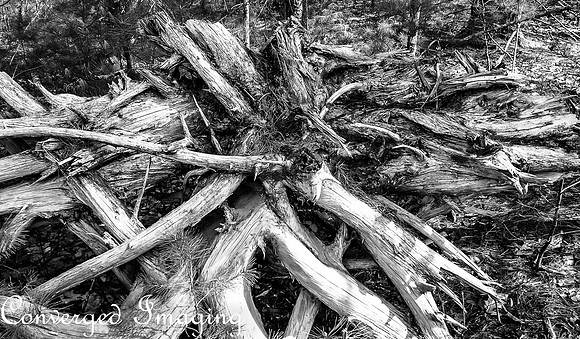 20200513_100049-2