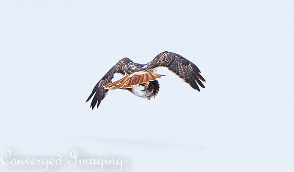 FEB_7442