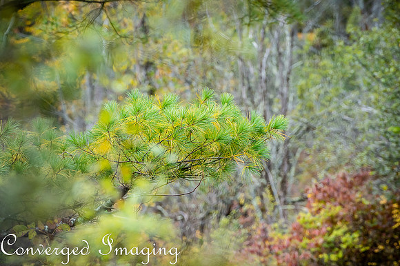 SEP_1573