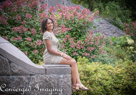SEP_0185